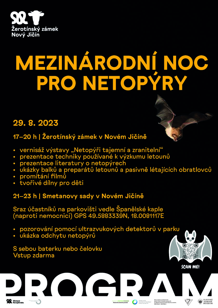 Plakat_netopy&Aring;i_program Mezin&aacute;rodn&iacute; noc pro netop&yacute;ry 